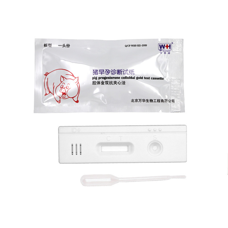 Veterinary Medicine Syringe Vaccine Metal Syringe