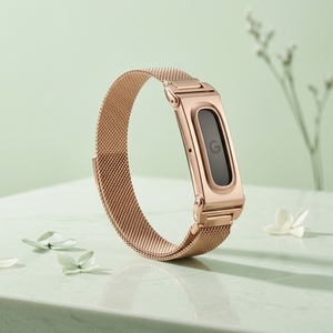 <span class=keywords><strong>Bracelet</strong></span> magnétique Milanese pour Google Fitbit Air Band, <span class=keywords><strong>bracelet</strong></span> de <span class=keywords><strong>montre</strong></span> en acier inoxydable avec boîtier métallique - Product Image 6