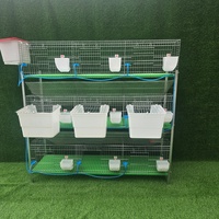 Cage à lapins multi-niveaux pour l'élevage de lapres et de lapereaux, en promotion, vente en gros