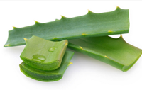 Poudre d'extrait de feuille d'Aloe Vera 90% Aloe Emodin, Approvisionnement en gros direct usine, Lot stable
