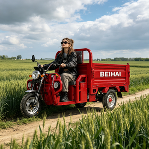 Triciclo Elettrico Passeggeri a <span class=keywords><strong>Tre</strong></span> Ruote BEIHAI 2026 Economico Mini Scooter 60V 2000W per Adulti - Product Image 4