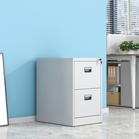 Armoire de classement métallique, mobilier métallique commercial, armoire à deux tiroirs, structure en acier, système de rangement pour l'école et le bureau