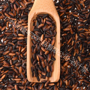 Nuevos productos puntuales, <span class=keywords><strong>arroz</strong></span> negro glutinoso, <span class=keywords><strong>arroz</strong></span> glutinoso pulido <span class=keywords><strong>chino</strong></span> orgánico Natural - Product Image 4