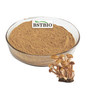 BSTBIO Polvo de Hongos de Miel, Polisacáridos 30%, Extracto de <span class=keywords><strong>Armillaria</strong></span> <span class=keywords><strong>Mellea</strong></span> en Polvo - Product Image 1