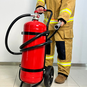 Estintore Antincendio <span class=keywords><strong>DCP</strong></span> su Ruote da 50kg, Produttore in Vendita - Product Image 2