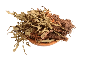 Экстракт корня корневого 10:1 - Product Image 5