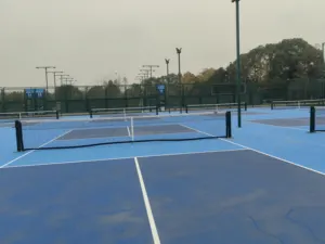 ODM/OEM in pelle di poliestere di colore bianco nero spiaggia tennis netto attrezzatura da tennis rete per il campo