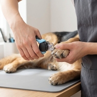 Coupe-ongles LED pour animaux de compagnie, chien, chat, avec protection de sécurité intégrée, lumière intégrée, PP, TPR, acier inoxydable
