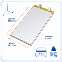 Batterie solide Battivus 3.87V 60Ah en format pochette 221x121x9.7mm 516g pour drones industriels VTOL à longue autonomie et cartographie – Marché russe