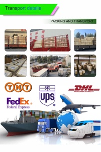 कुत्तों के लिए बड़ी इलेक्ट्रिक ग्रोमिंग टेबल, वाणिज्यिक पालतू देखभाल व्यवसाय के लिए कई रंगों में 1400 एक्स 600 मिमी शीर्ष - Product Image 6