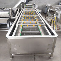 Industriële wasmachine voor wortelen, cassave, appels, vers fruit en groenten, met vortex-bubbeltechnologie, voor blauwe bessen.
