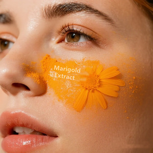 Chất lượng cao sức khỏe tự nhiên sản phẩm hữu cơ Cúc Vạn Thọ chiết xuất Lutein 5% 80% Zeaxanthin 98% 90 bột 10% Lutein bổ sung - Product Image 5