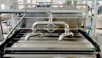 Machine à Boba Éclatante Automatique SINOFUDE de Haute Qualité – Équipement à Boba Éclatante pour Desserts, Production Élevée