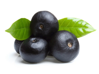 Poudre de Jus de Fruits d'Açaï de Chine de Haute Qualité, Extrait Naturel de Baies d'Açaï par Solvant, Hydrosoluble