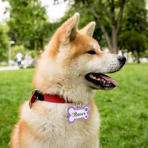 Персонализированная бирка для животных с гравировкой имени и текста, именная бирка для собак, блестящая бирка-кость для щенков и кошек - Product Image 5