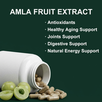 Capsules d'Amla 1000mg – Complément de fruit de sureau, antioxydant, énergie, soutien digestif, vieillissement sain, capsules végétaliennes en vrac