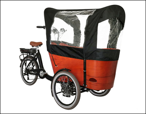 Tricycle électrique pour adulte, vélo cargo familial, cadre en aluminium, 6 vitesses, <span class=keywords><strong>drift</strong></span> tricycle pour l'épicerie et le transport des enfants - Product Image 5