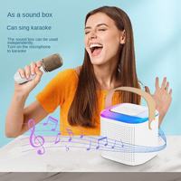 Mini haut-parleur de karaoké extérieur avec double microphone de karaoké KTV portable sans fil Subwoofer de carte mobile