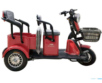 Haute qualité chinois adulte pliable tricycle électrique petite voiture et tricycle scooter électrique