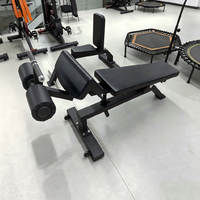 Banc de musculation professionnel robuste et réglable pour abdominaux et sit-ups, machine d'entraînement de base pour la gym
