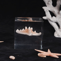 Ornement de maison Lucite Urchin Bones Block Acrylique Ocean Specimen Embedded Cube