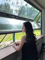 Fenêtre pliante en alliage d'aluminium sur mesure, coulissante verticalement, pour bars et cafés