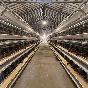 家禽農場10000卵鶏産卵鶏H型電池層鶏ケージ