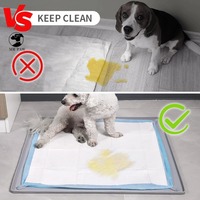 Support de tapis de propreté écologique pour chiens, avec rebord surélevé anti-déversement, en silicone antidérapant, pour l'apprentissage de la propreté des chiots