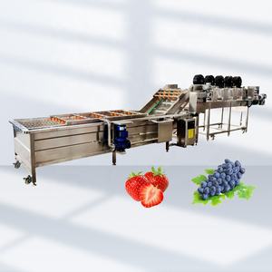 Máquina de limpieza automática industrial de la lavadora de la verdura y de la fruta de la burbuja Nueva condición - Product Image 5