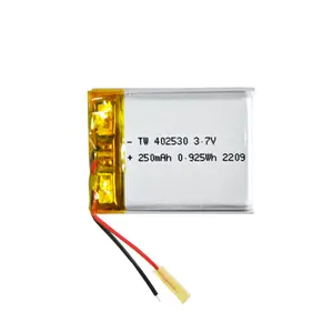 Hot Sale 402530 250mAh 240mAh Rechargeable Small Lithium Polymer Ion Battery Cells Pack