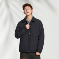 Vestes en duvet pour hommes en gros d'usine, nouvelles vestes d'hiver pour hommes, tendance et polyvalentes, chaudes et résistantes au froid, avec col chaud
