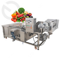 Industriële Verse Groente Fruit Reiniging Drogen Verwerking Machines Droge Data Wasmachine Voor Verkoop