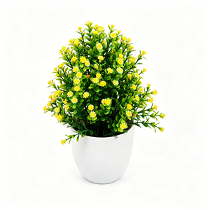 Pronta Consegna: Pianta Artificiale Realistica di Gypsophila in Vaso, Piccolo <span class=keywords><strong>Bonsai</strong></span> Verde per Consegna Rapida, Vendita all'Ingrosso <span class=keywords><strong>Online</strong></span> - Product Image 4