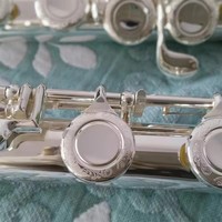 Factory 16 Closed Flute C for Sale OEM Instrument