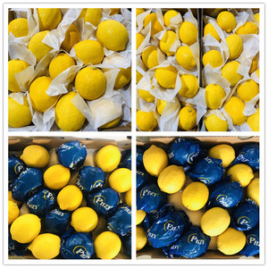 Chanh Eureka Tươi Từ Trung Quốc - Product Image 5