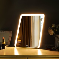 Miroir mené potable mince de grande taille de maquillage de Tableau avec la fonction rechargeable