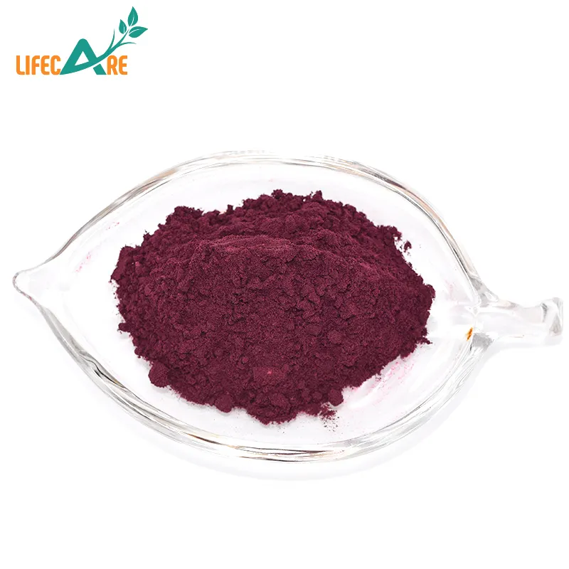 100% Nguyên Chất Và Mỹ Phẩm Tự Nhiên Thành Phần Acai Berry Extract Powder Giá Tốt Nhất