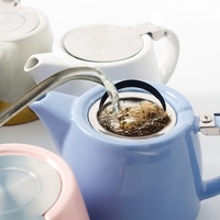 Théière en céramique personnalisée en gros avec couvercle et infuseur en acier inoxydable, théière en porcelaine avec infuseur