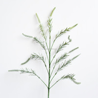 Tige unique de fausse herbe à poils verts poussiéreux Setaria Viridis Nettle Smartweed Persicaria Polygonum PE givré 76cm Mariage