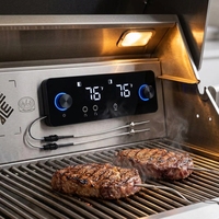 Contrôleur de barbecue électrique avec affichage numérique de la température