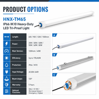 Lumière LED Tri-Proof Robuste 1200mm 40W IP66 IK10 Résistante aux Chocs avec Boîtier en Aluminium pour Environnements Industriels