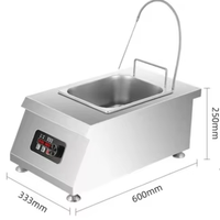 Équipement de restauration commerciale, friteuse à minuterie de grande capacité 10L, température constante, équipement multifonctionnel pour poulet frit en buffet
