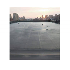 في الصين ، أحدث طلاء بولي يوريا بخاخ مضاد للماء بأفضل جودة - Product Image 1