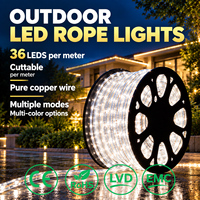 Guirlande lumineuse flexible à 36 LED par mètre, découpable, enroulable, fil de cuivre pur, pour extérieur, contour de bâtiment, IP67, décorative, Noël