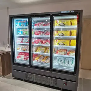 Glass Door Display Refrigerator Commercial Display Cooler Fridge With 3 Glass Door Display Frozen Food Freezer