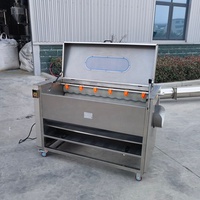 Fabrieksgroothandelsprijs aardappel schilmachine aardappel reinigingsmachine wortel aardappel schiller borstelrol wasmachine