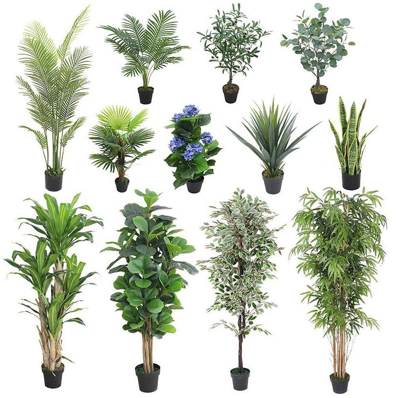 สีที่กำหนดเอง