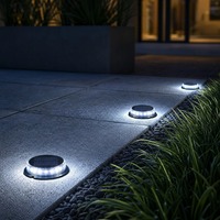 Lampes solaires au sol avec panneau monocristallin pour pelouse, allée et chemin de jardin