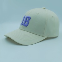 Gorra de Béisbol Minimalista Estilo Coreano Personalizable con LOGO y Color, una Gorra de Béisbol Versátil para Uso Diario