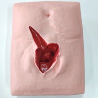 Modelo de entrenamiento de Ciencias Médicas DARHMMY para la práctica de sutura vulvar de obstetricia y ginecología